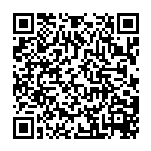 在陆为民把这个方案提交出来在市委常委会和市政府常务会议获得通过之后二维码生成