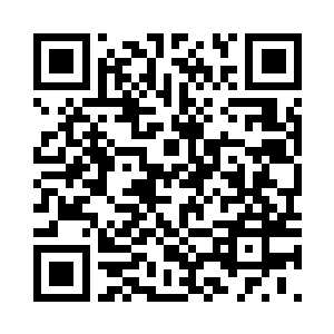 在雨中任雨水冲刷沾在绒毛上的泥垢二维码生成