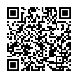 在面包车里一直没出来的赵长枪看到王国强被打的差不多了二维码生成