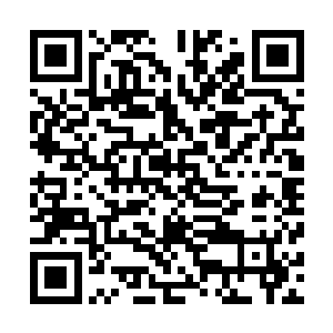 在顶级神高手眼中什么中位神上位神不过都是一些蝼蚁罢了二维码生成