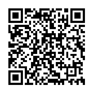 在顾家高阶战士的盔甲之上留下一个淡淡的痕迹二维码生成