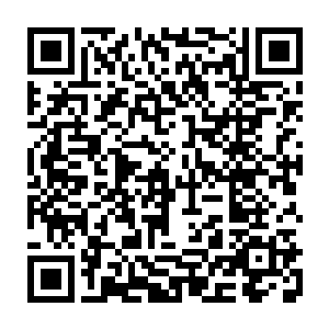 在颜洛儿和流墨墨叽叽喳喳的用神识围观那些在星空中凡人的生活日常的时候二维码生成