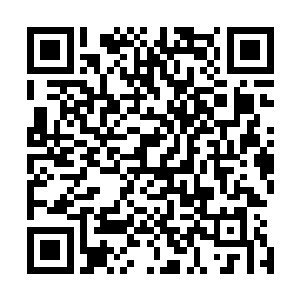 在马上回去试探容觐和进入已经在眼前的御书房两者选择中二维码生成