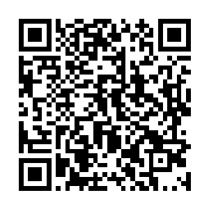 在6个数学天才完全不必要借助任何仪器的强大计算力下二维码生成