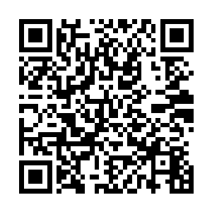 地上飞快爬动的虫子连同长生的藤须都飞快的朝他嘴里去了二维码生成