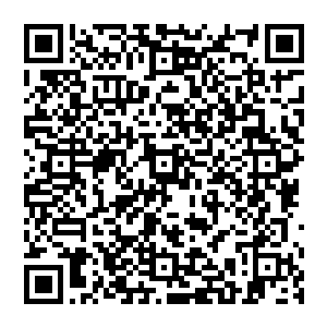 地价的攀升对于打定主意要以出让土地来换取财政增长的西塔县政府来说就是无法拒绝的诱惑二维码生成