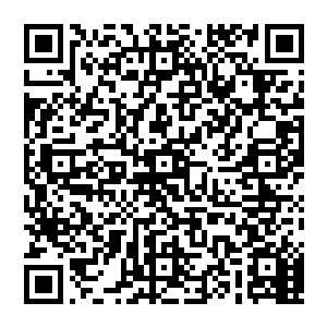 地火水风 本源之力 这可是天道的规则之力啊 这小子怎么可能招惹如此强悍的大劫 他到底是什么僵尸 二维码生成