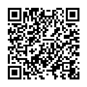 地火淬炼的至尊罡躯加上血武秘录全部力量的激发二维码生成