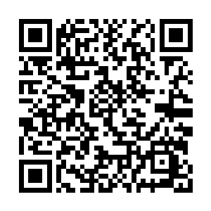 地球上再次掀起一股习武和学习宇宙知识的热潮二维码生成