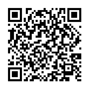 场下的八万名观众和数以千万的电视机前的观众为我作证二维码生成