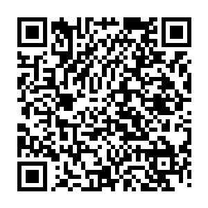 均是四大宗派和猎海联盟从海上各个遗迹之中挖掘出来的具有争议的宝物二维码生成