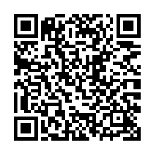 坐在车里的赵长枪和龙天阁几乎在同一时间猛然抬头二维码生成