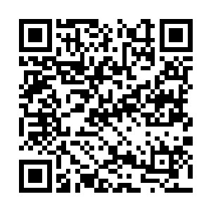 坠落并不可怕……可怕的是失去重新向上爬的机会二维码生成