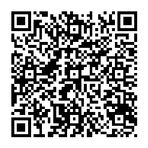 坦布尔海滨庄园在姗姗彤彤以及来自果邦的一大票佣人入住后再不似以往冷冷清清二维码生成