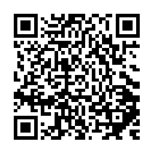 坦白说高扬就算因此再跟费尔南多的公司要求索赔也不管算过分二维码生成