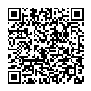 埃里森随着年纪的增长和经验的累积渐渐收敛起了自信到自大狂妄的做派二维码生成