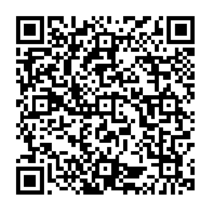 城下那些血肉模糊的尸体也不再散发出血腥味似乎把人世间的一切都给牢牢地给冻住了二维码生成