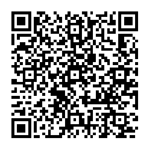 城堡中各式各样的装饰以及挂在墙上的油画无一不显示出这座城堡主人的高贵所在二维码生成