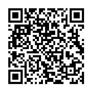 城堡的中间由各式的山庄和掩映在丛林中的楼阁建筑连接在一起二维码生成