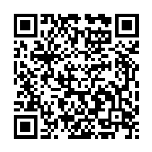 基本上也算是自己把仇给报了&……但秦方选择直接去夺取内丹二维码生成