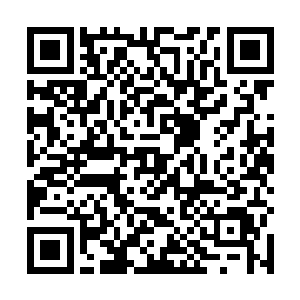 基本上刚才的爆炸已经干掉了唐怀明几乎所有的手下了二维码生成