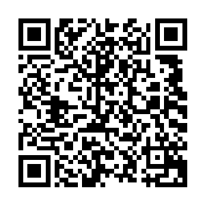基本上和依靠战气这条路线发展出来的各种秘传与战技体系迥异二维码生成