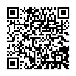 基本上已经宣告了凯文这个召唤生物在一个剧本里只能召唤一次二维码生成