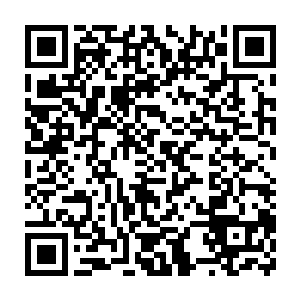 基本上意味着尚权智的任何意图都可以在市委常委常会获得贯彻了二维码生成