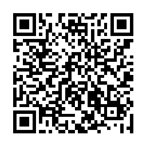 基本上死亡的人数已经可以跟血魂门的总人数相比了二维码生成