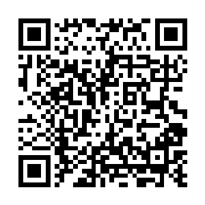 基本上注定了这个小岛的秘密是不可能隐瞒下去了……二维码生成