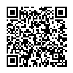 基本上这里面的傀儡兽的实力跟他们的体型是呈正比的二维码生成