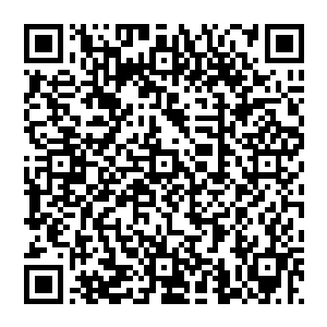堡主大人在潜龙岛的时候积累了的基本能量储备现在还可以支持一次小范围的地穴层的空间及地形创造二维码生成