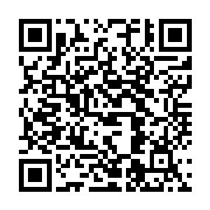 塔塔林和普林斯特都知道穆根有一位祖籍潘德拉的同学二维码生成