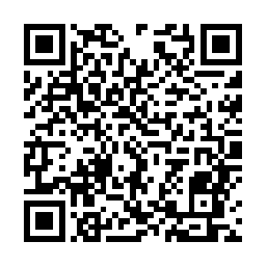 塔库米的塔盾以排山倒海之势砸向地面――轰隆隆……二维码生成