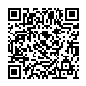 塔格利安翼蛇与万蛇之母再也没有了任何的关系二维码生成