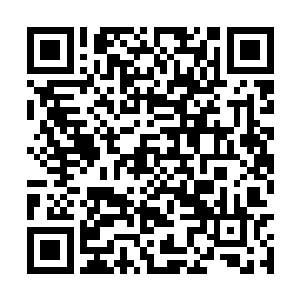 塔灵中心的第一任务序列就是完全服从雷林的命令二维码生成
