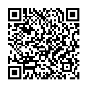 塞比卡那个biao子养的家伙说是给我准备了一个印第安处二维码生成