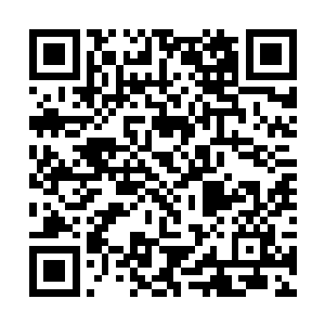 塞西尔在老马修的撺掇下饮用了使发情期提前的药物二维码生成