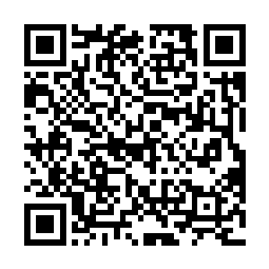 墙体外部全都是雕刻成细碎的只有指甲盖儿的精细鳞片二维码生成