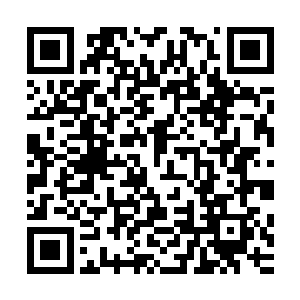墨修尧专门派人将留在楚京的叶璃原本身边的人一并接了过来二维码生成