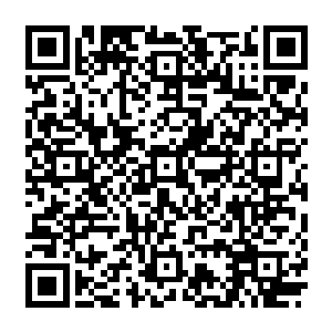 墨修尧的真性情早在十几年前那惊天动地的变故中无可避免的沾染上了阴狠暴戾的一面二维码生成