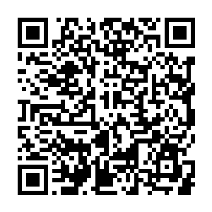 墨家军上下除了冷淮等人谁也不知道已经去世的定王正在他们的营中坐着喝茶二维码生成