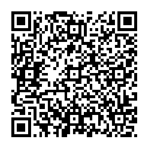 墨家军的士兵也依然穿梭在各个大街小巷里搜索还剩下的北境士兵以及楚京的伤病二维码生成