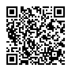 墨景祈为了讨好她却在她居住的宫殿小花园里种植了数颗梨树二维码生成