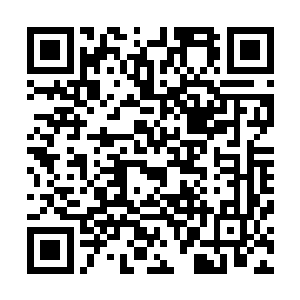 墨景祈明显的察觉到跪在地上的一众大臣和宗亲对他的不满二维码生成