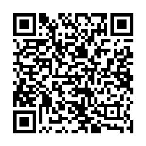 墨景黎瞪着手里刚刚到的密信仿佛要将它瞪出个窟窿来二维码生成