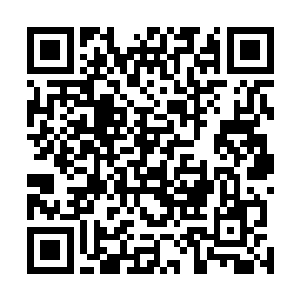 墨梓熏看着林寒影和那些黑压压的星梦军队迅速拔营离去二维码生成