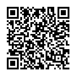 士兵可以依靠的只有他们强壮的身体以及长期训练出的格斗技能二维码生成