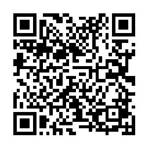 夏云杰和秦岚坐着陈振东的车子抵达秦亦臻的家时二维码生成