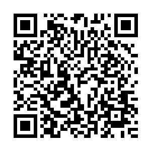 夏云杰在两位结义兄长和一些知道他真正实力的玄门老人请求下二维码生成